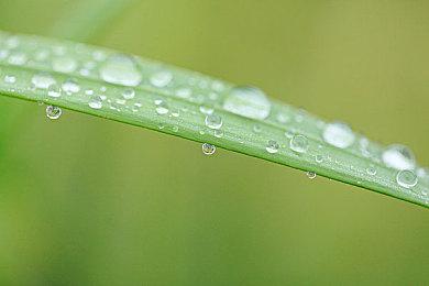 世嘉公布《魔界战记7》“西佛”中文版角色介绍